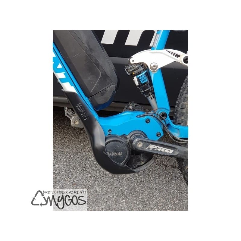 carter  Full E+1