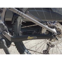 protection de base côté disque pour Wild FS carbone ,29 p , 2020