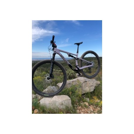 protection de tube diagonal pour Epic carbone 29 P, 2014,2015