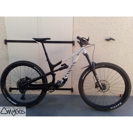 2022 protection de tube diagonal pour Spectral AL 29 P