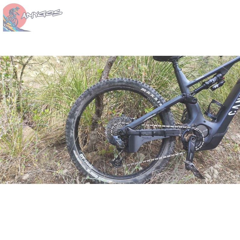 Parrier protection pour dérailleur