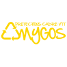 Amygos